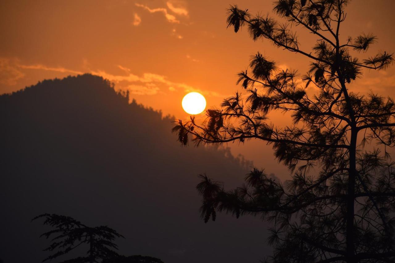 Aachman Nature Valley Resort, Mashobra Shimla Eksteriør billede