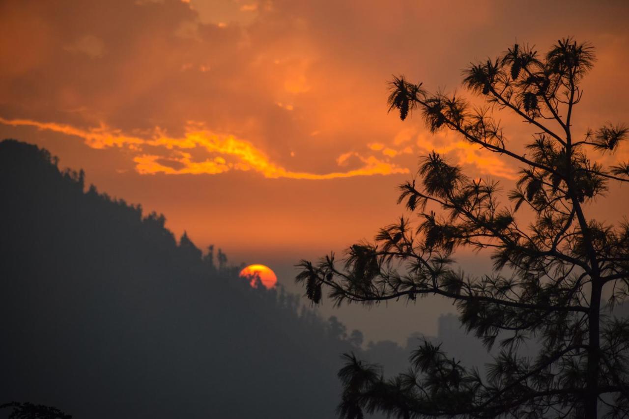 Aachman Nature Valley Resort, Mashobra Shimla Eksteriør billede